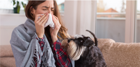 過敏是什麼？怎麼知道自己過敏？